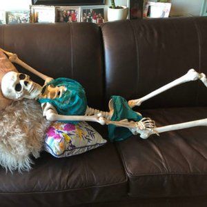 36G Teal Conturelle Bra and size 14 Teal Conturelle Underwear